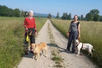 Hundeführer mit Spürhunden der Hundeschule amlandwasser in Freiburg